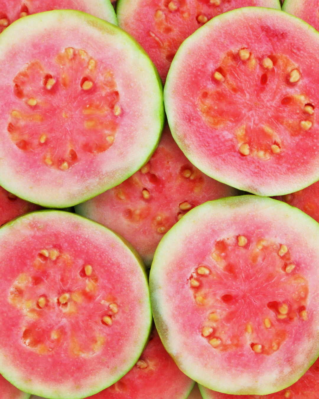 Mojito | Guayaba del País