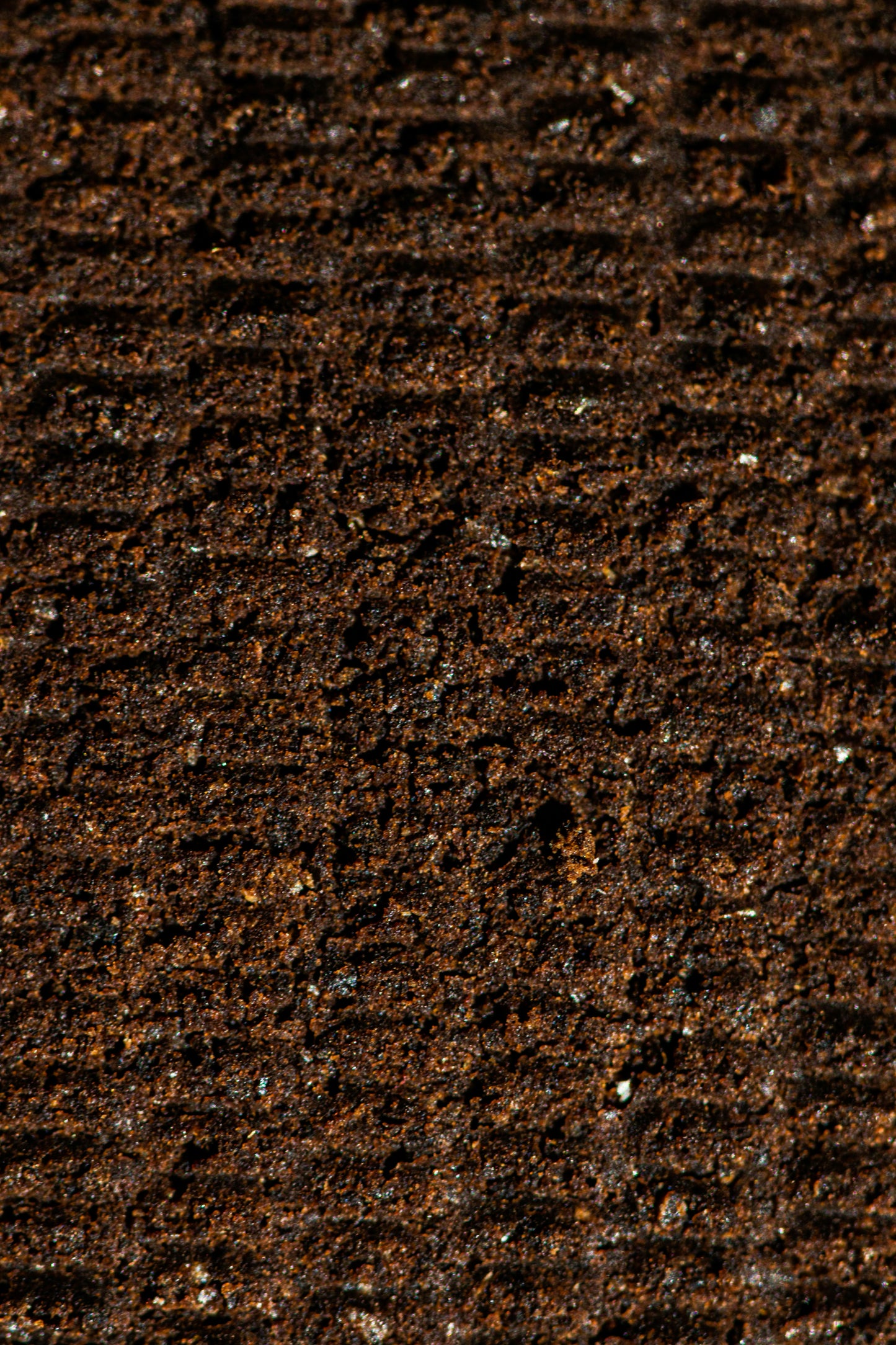 Coquito | Cafe y Cacao del Pais