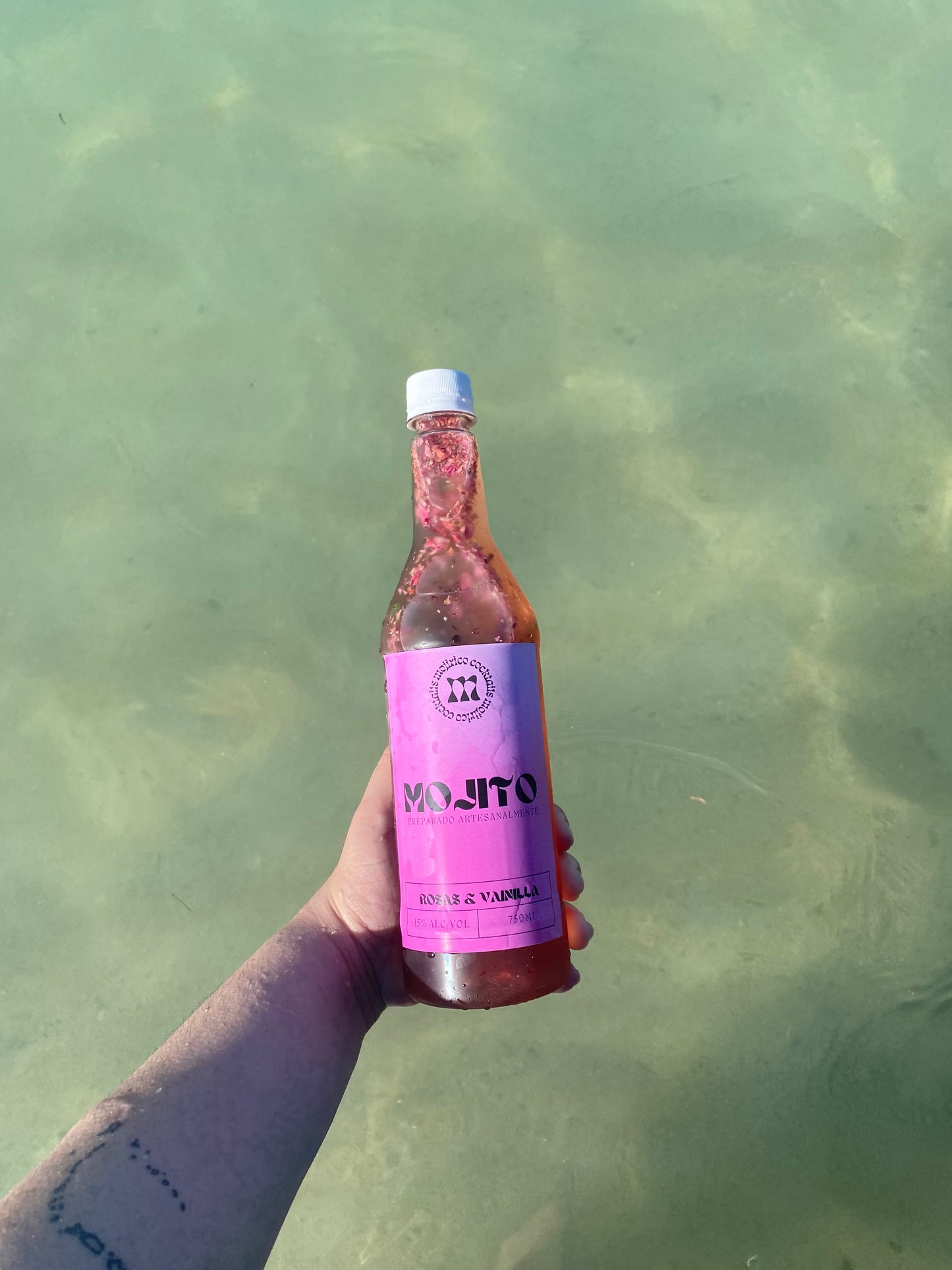 Mojito | Rosas y Vainilla